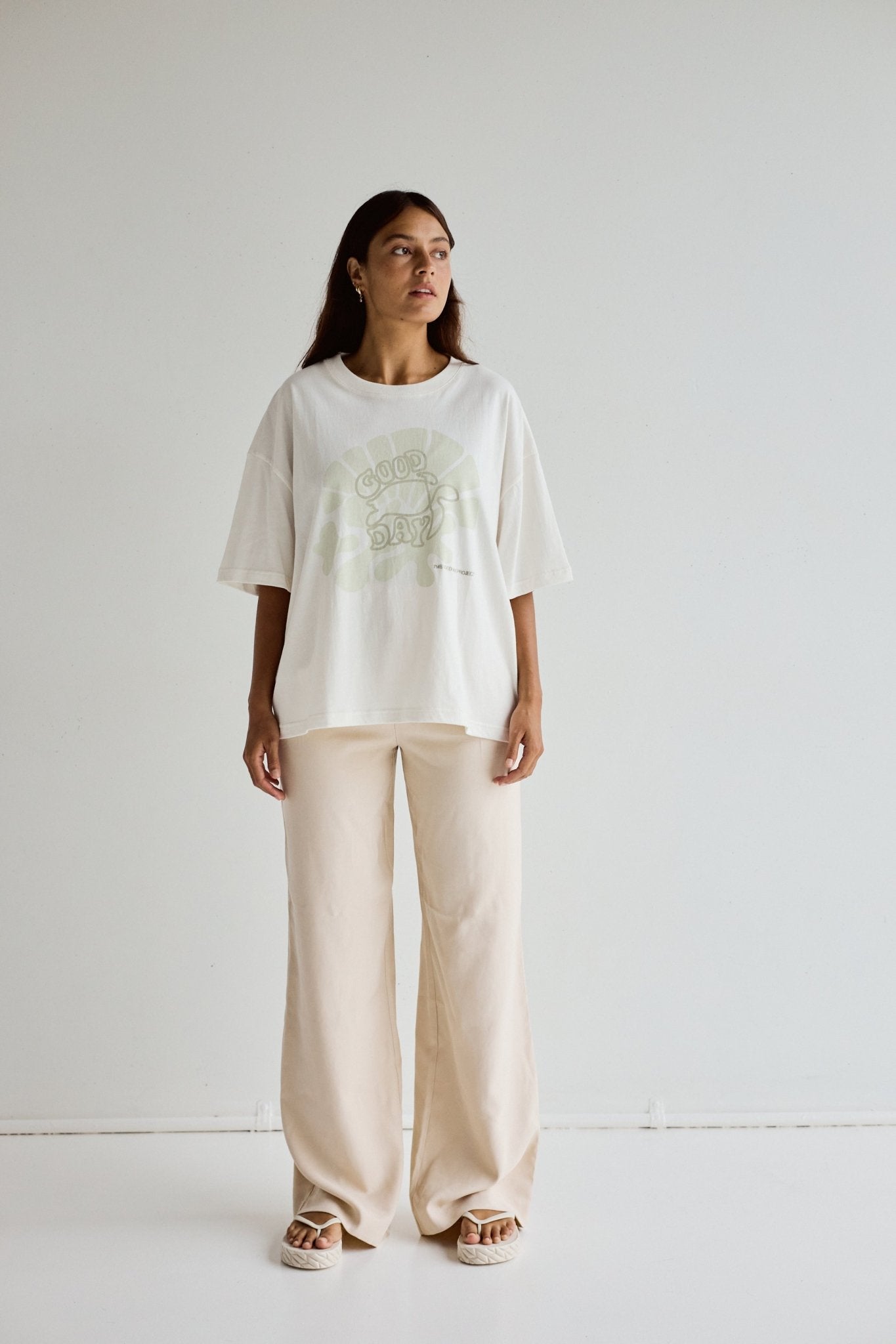 TURTLE TEE - VANCE.